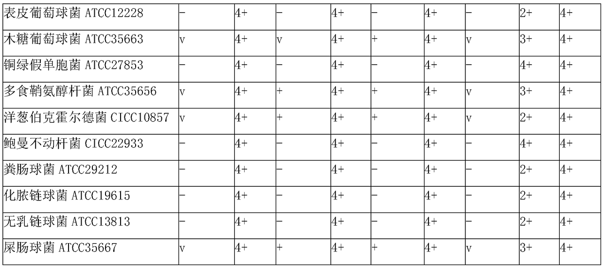 Liquid culture medium for detecting beta-galactosidase and application of liquid culture medium in bacterium identification