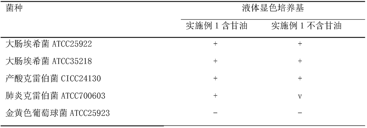 Liquid culture medium for detecting beta-galactosidase and application of liquid culture medium in bacterium identification