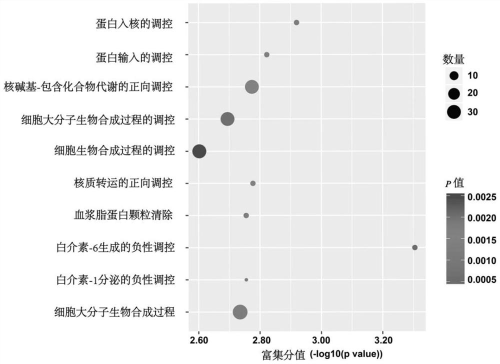 Application of interleukin 37 and its effect on RNA m6A methylation in lung cancer cells