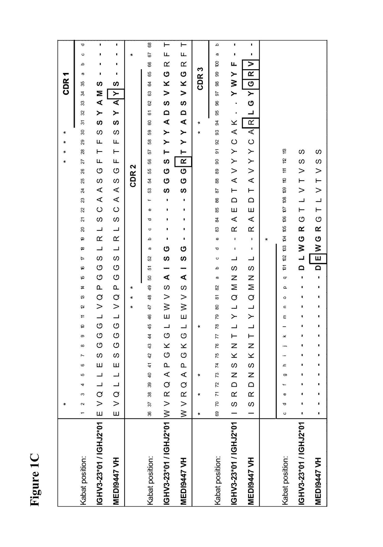 Therapeutic combinations comprising Anti-cd73 antibodies and uses thereof