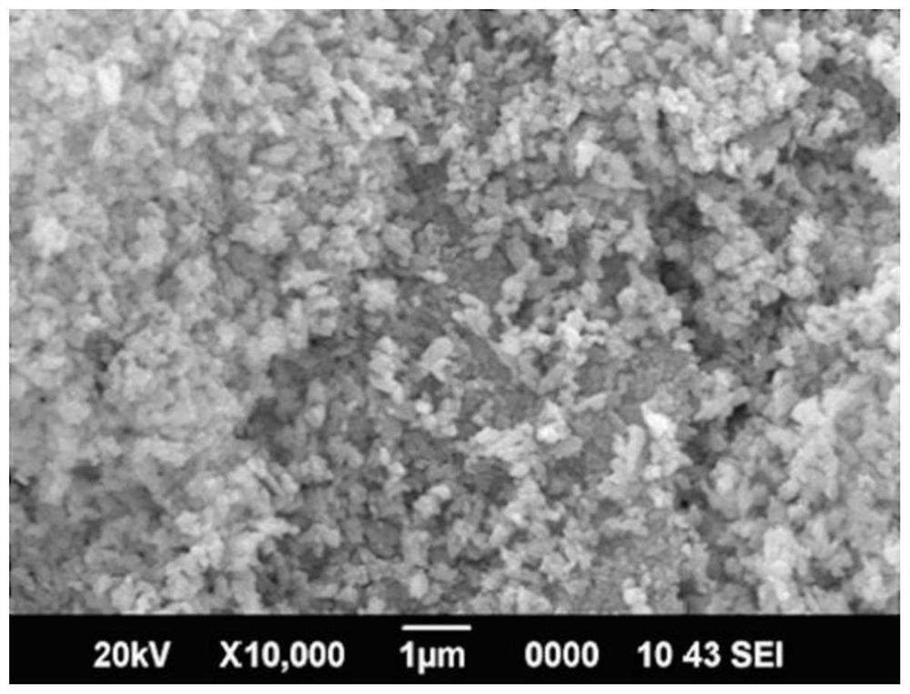 A kind of arsenic-removing adsorbent in the pyrolysis process of urban waste