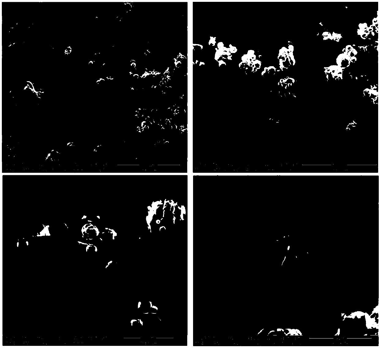 Use of fullerene compound and fullerene microcapsule powder and preparation method and application thereof