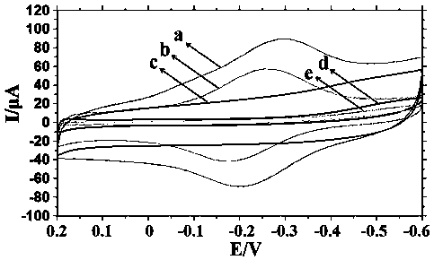 Preparation and electrochemical sensing application research of tin dioxide-three-dimensional graphene nanocomposite immobilized protein modified electrode