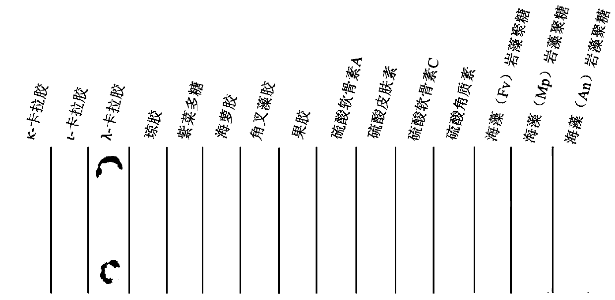 Carbohydrate binding domain specifically bound with carrageenan and preparation and application thereof