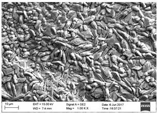 Control method of coating performance surface quality of double-phase steel cold-rolled high-strength automobile board