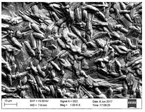 Control method of coating performance surface quality of double-phase steel cold-rolled high-strength automobile board