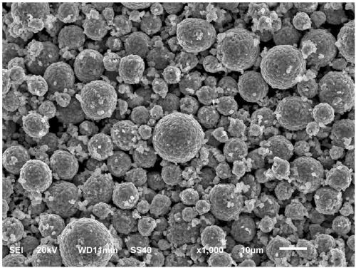 High-nickel ternary positive electrode material and preparation method thereof