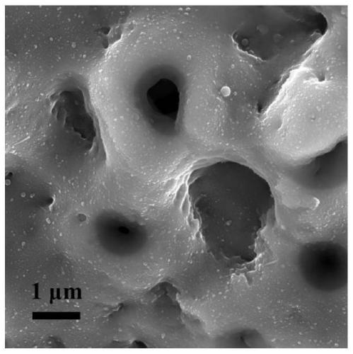 A kind of surface modified titanium implant and its functional treatment method