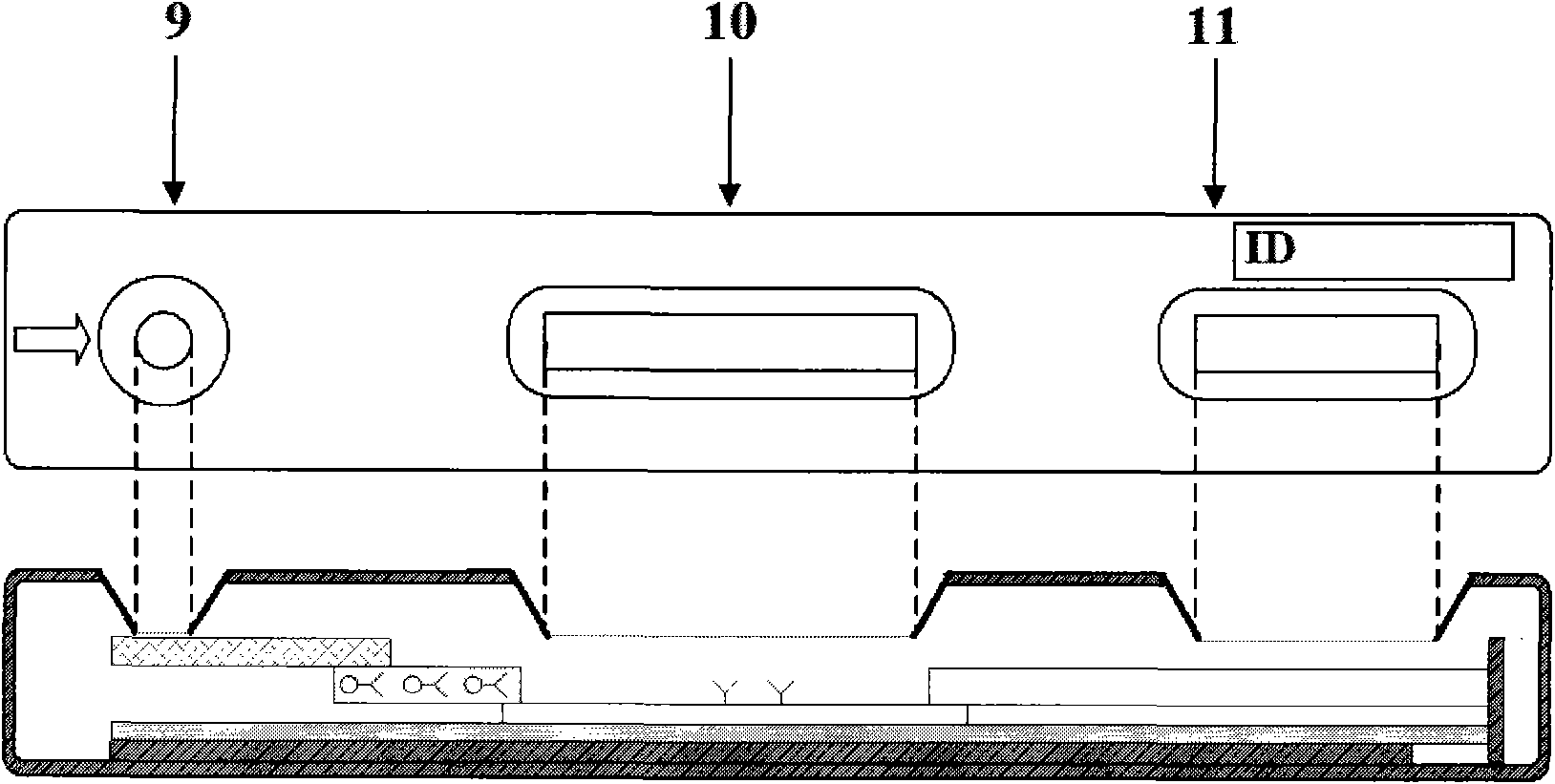 Immunochromatography rapid kit and production method thereof