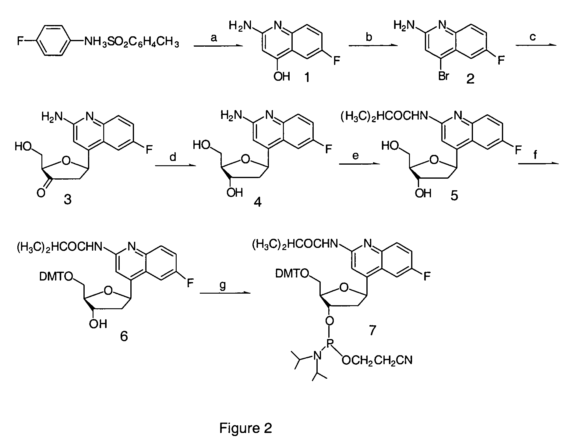 Halogenated aminoquinolines and methods for forming DNA triplexes