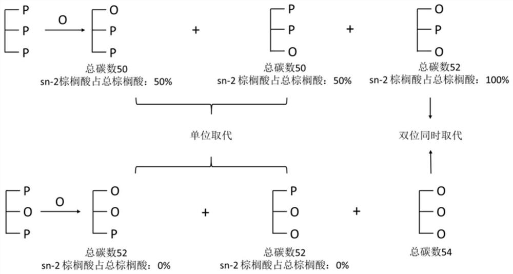 A kind of oil composition containing 1,3-dioleic acid-2-palmitic acid triglyceride and its preparation method