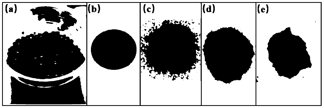 Stabilizing agent for repairing heavy metal chromium pollution, and preparation method and application thereof