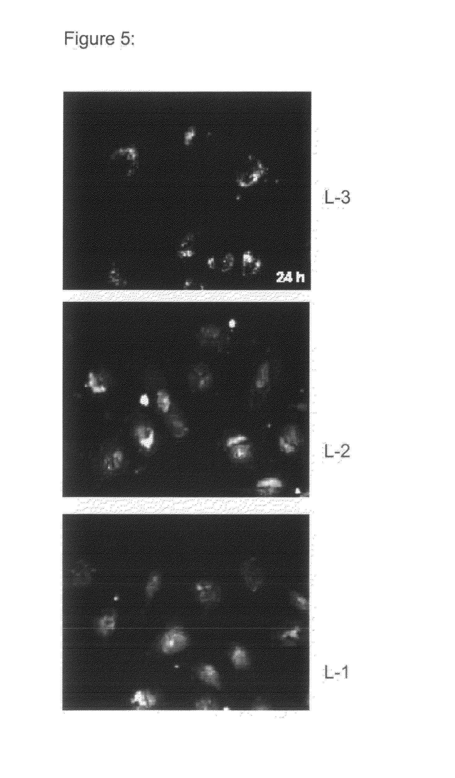 Lipids and lipid assemblies comprising transfection enhancer elements