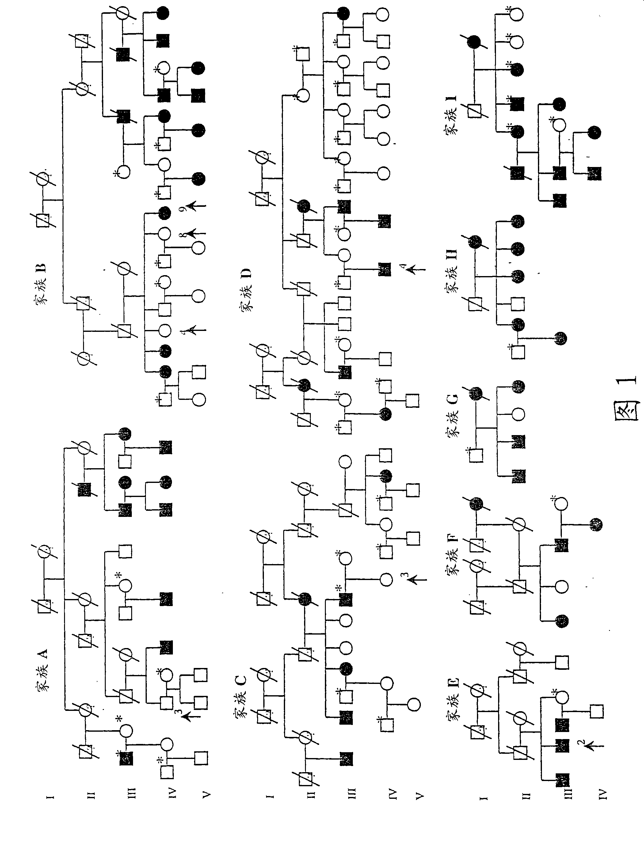 Identification of DNA variant associated with adult type hypolactasia