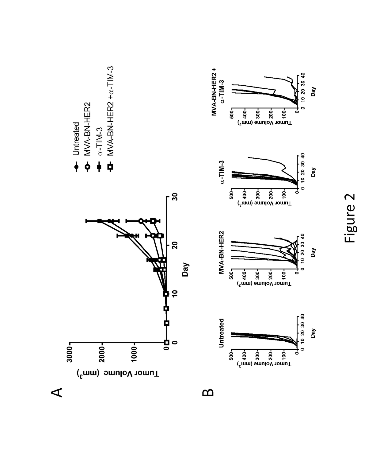 Combination Therapy for Treating Cancer with a Poxvirus Expressing a Tumor Antigen and an Antagonist of TIM-3