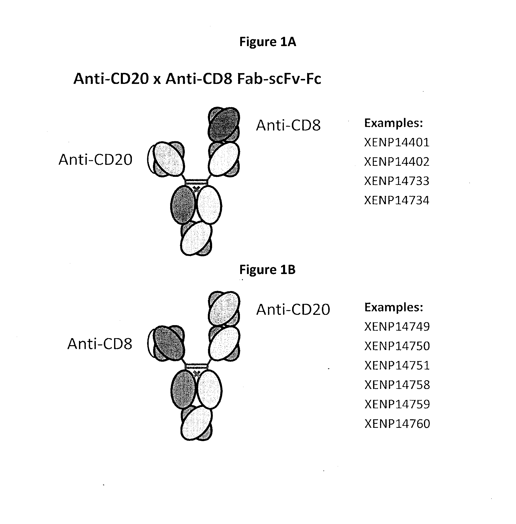 Heterodimeric antibodies including binding to cd8