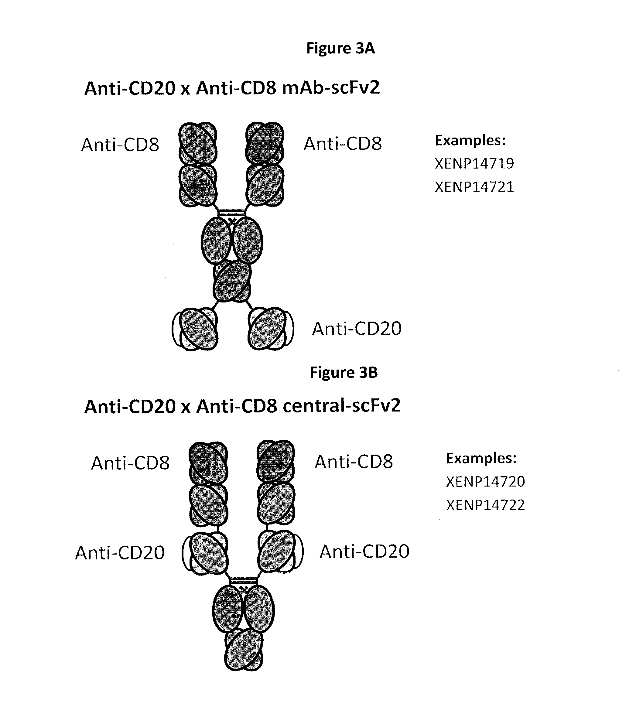 Heterodimeric antibodies including binding to cd8