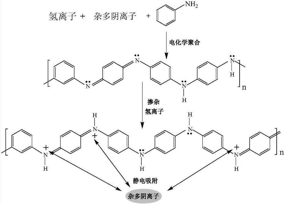 Integrated heteropolyacid modified polyaniline/titanium nitride core-shell nanowire array composite material and its preparation method and application