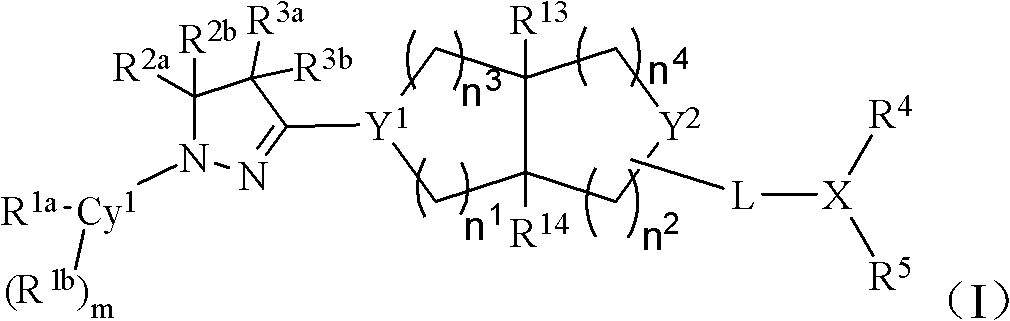 Bicyclic dihydropyrazole compounds