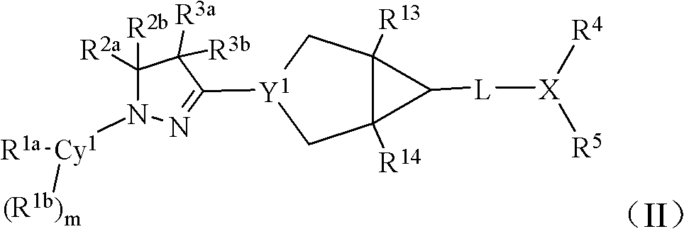 Bicyclic dihydropyrazole compounds