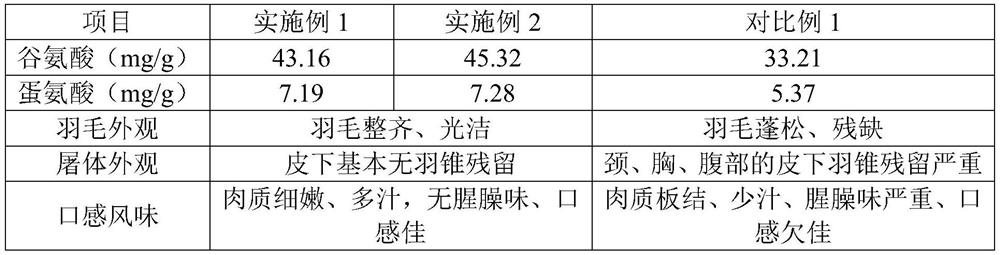 Method for improving meat quality of cage-reared eliminated laying ducks