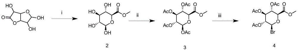 Leonurine metabolite and preparation method thereof