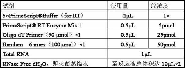 Method for establishing rat model with IgAN (immunoglobulin A nephropathy) glomerulosclerosis