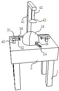 A kind of cap pressing and shaping device