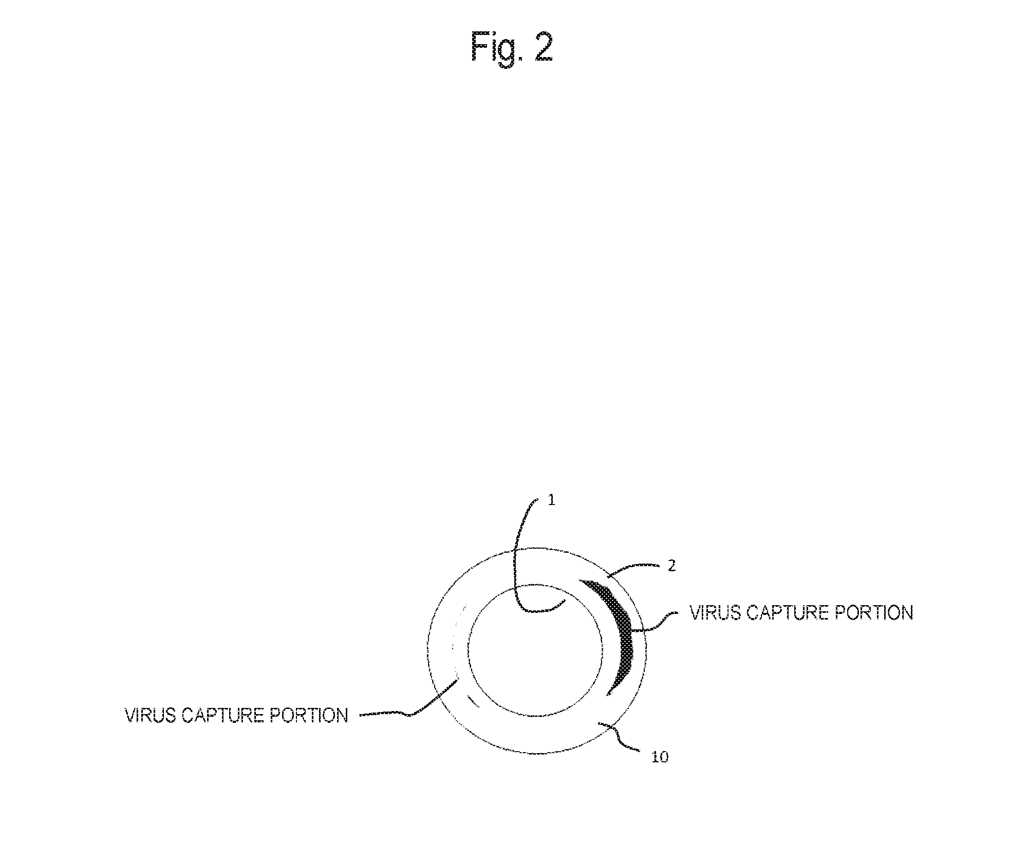 Virus removal membrane