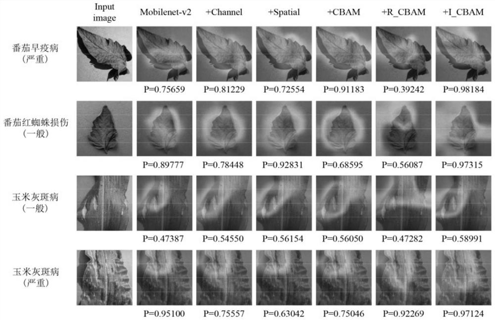 A method for identifying crop diseases and insect pests based on mixed attention module