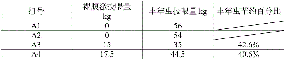 Original pond cultivating method of young shrimps of penaeus vannamei