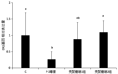 Application of chitosan-Se in inhibiting reduction of ERbeta gene expression of epithelial cells of porcine endometrium caused by F-2 toxins