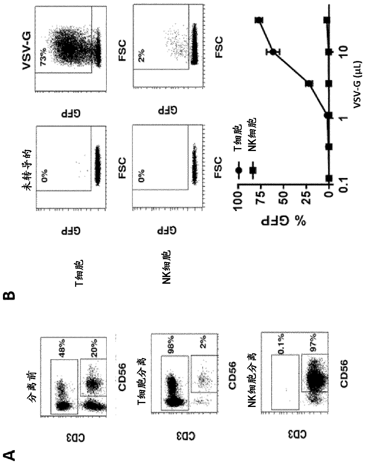 Method for nk cell transduction