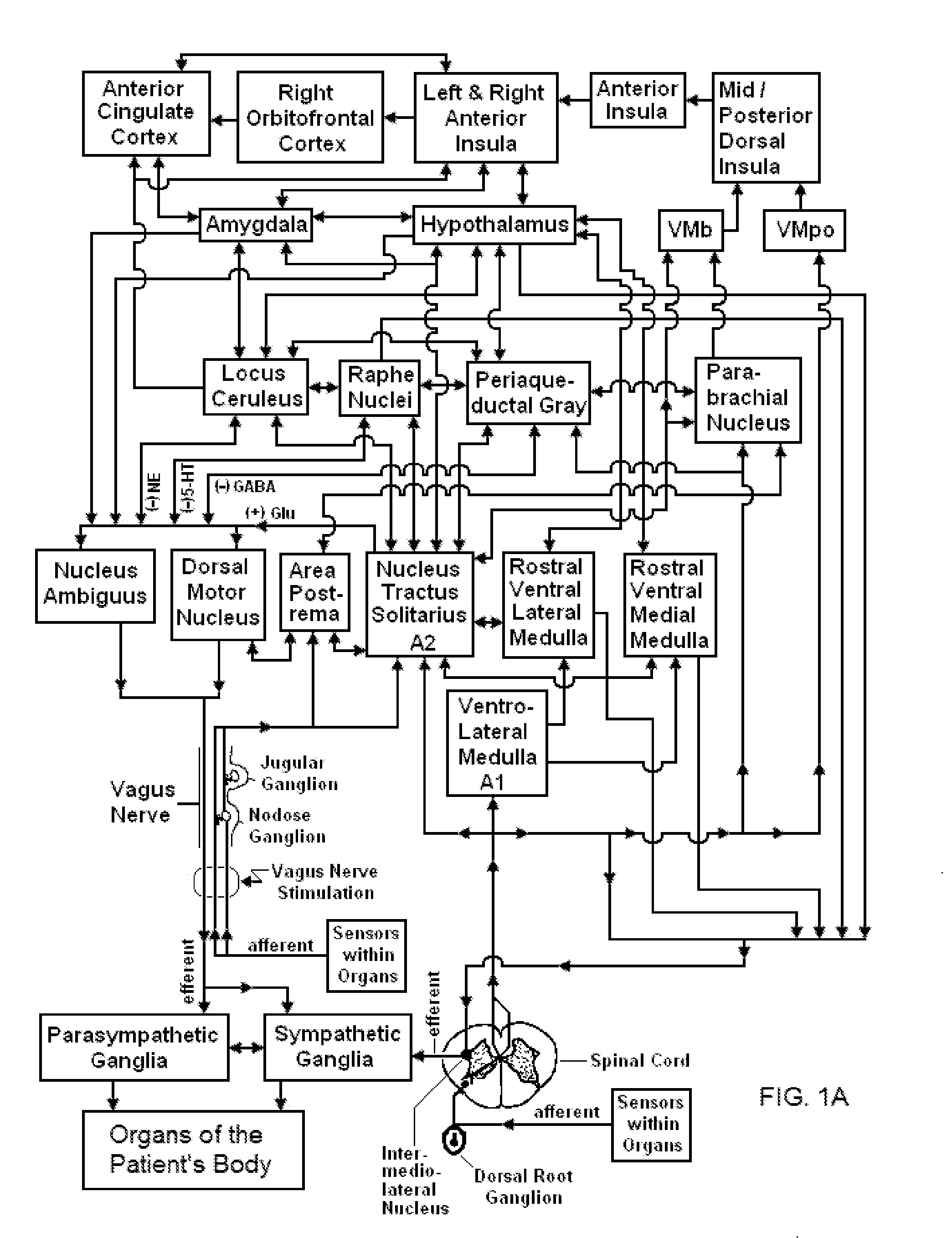 Systems and methods for vagal nerve stimulation