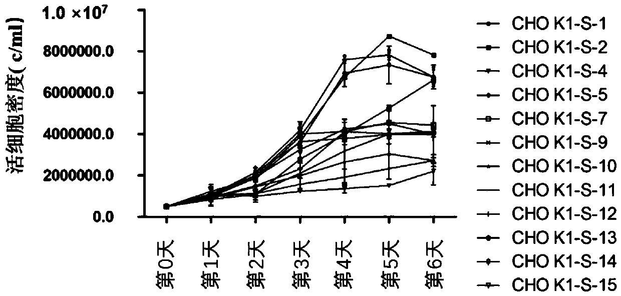 A modified cho cell and its use