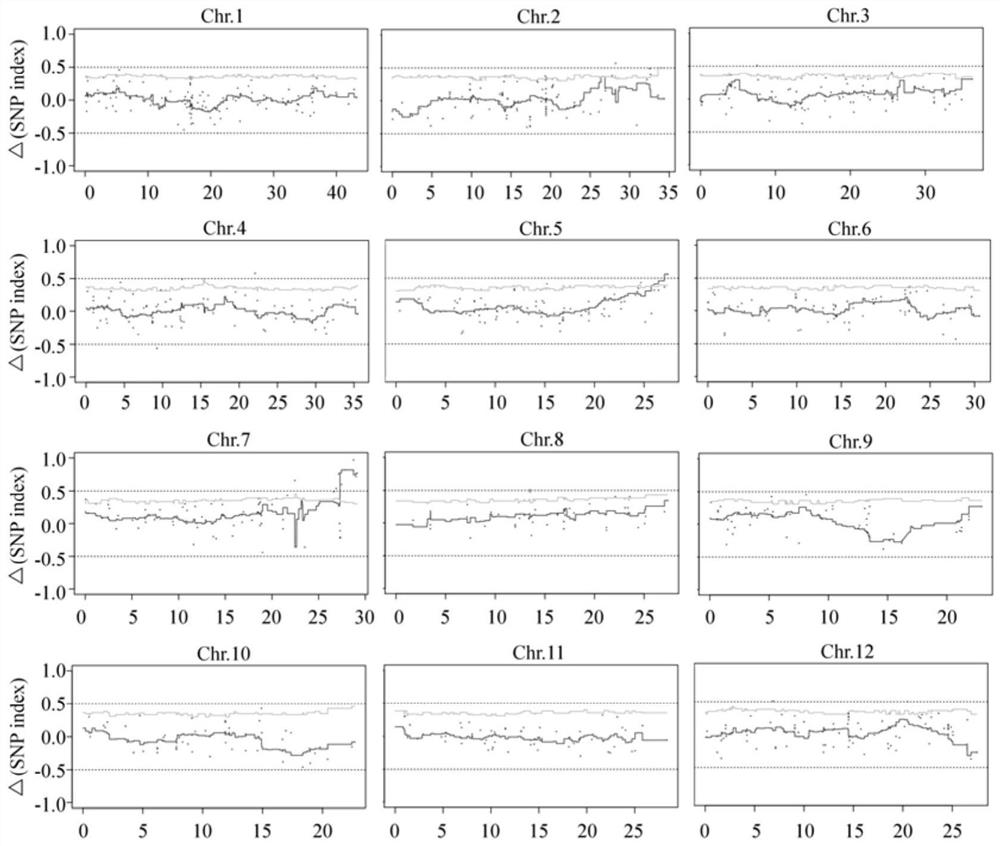 Application of rice potassium ion transporter gene oshak9 in improving seed germination ability under salt stress