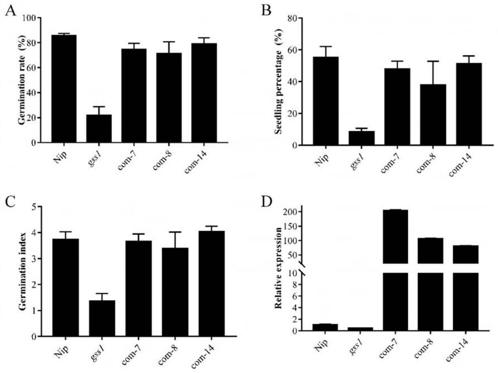 Application of rice potassium ion transporter gene oshak9 in improving seed germination ability under salt stress