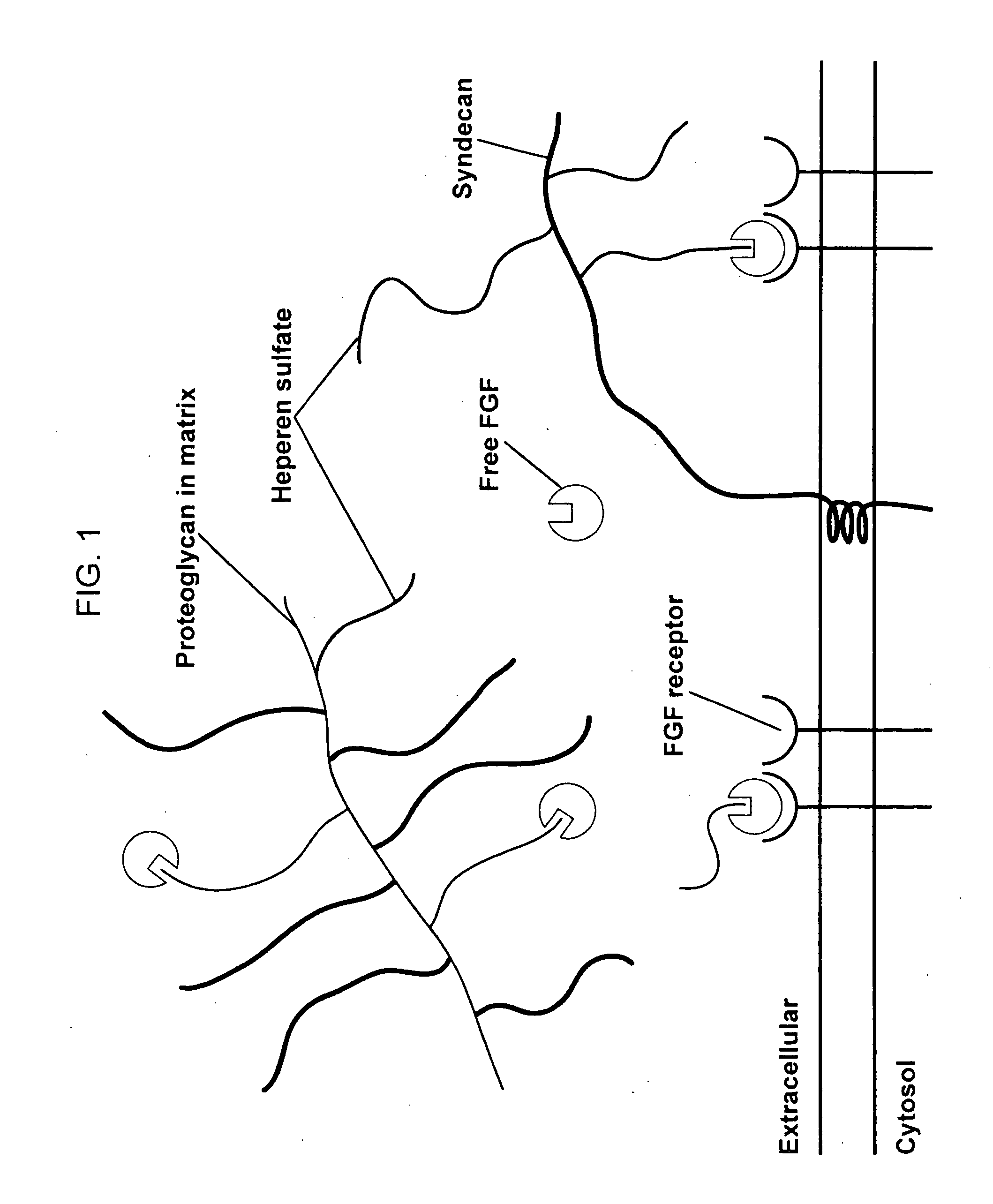 Compositions for regenerating defective or absent myocardium