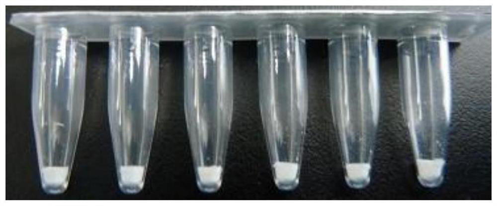 Freeze-dried PCR (polymerase chain reaction) reagent for detecting COVID-19, FluA and FluB viruses and preparation method thereof