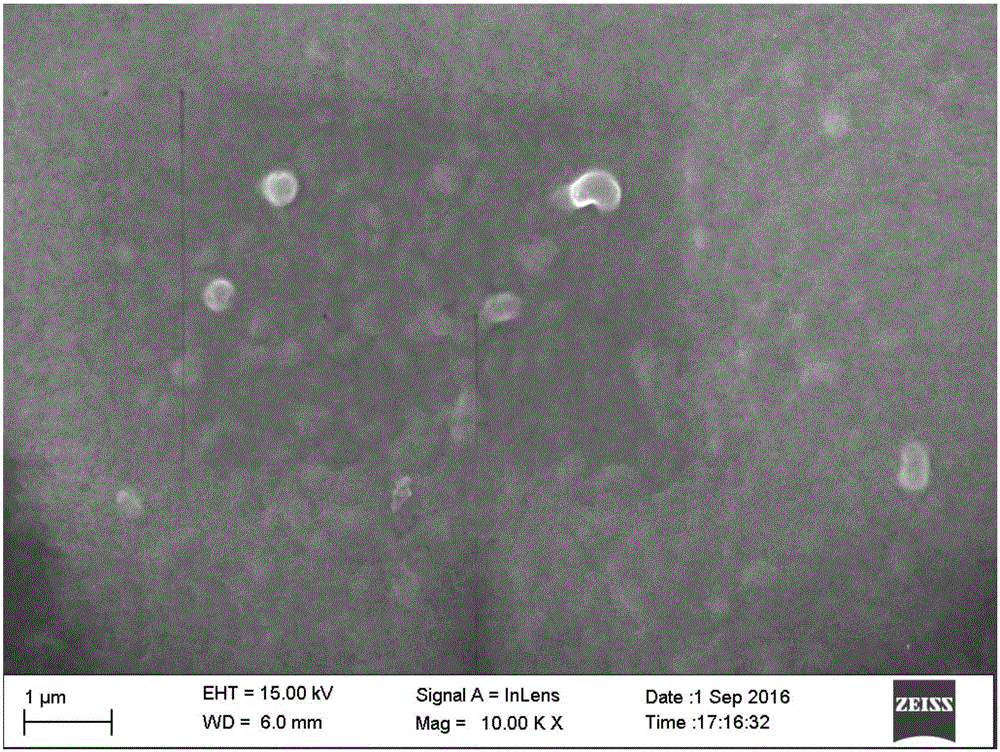 Zeolite imidazate framework/polyamide composite membrane and preparation method thereof