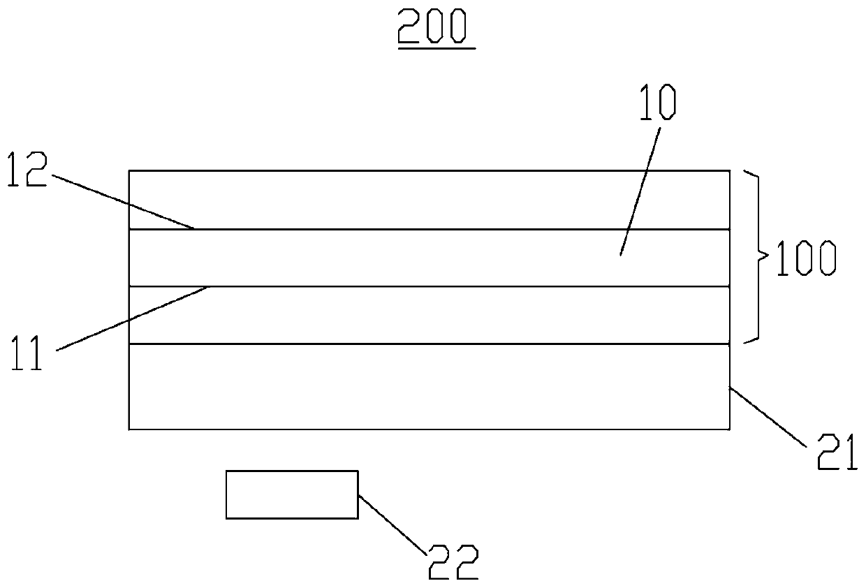 Screen protection film and electronic equipment