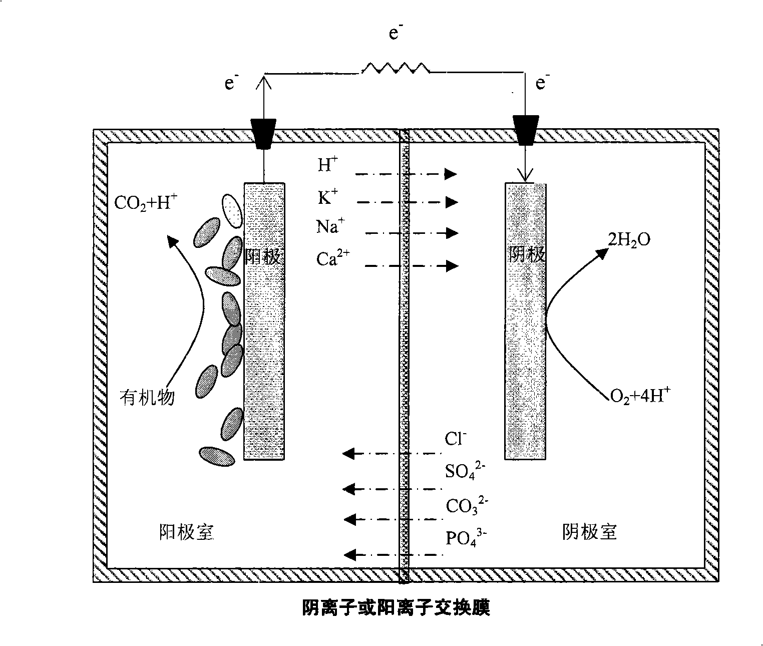 A microbe fuel battery and its application