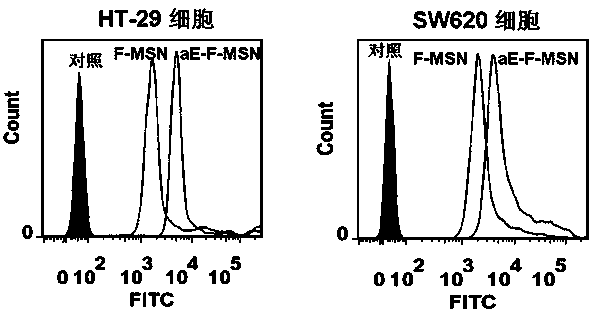 An antibody-coupled mesoporous silica/mifepristone nano-preparation