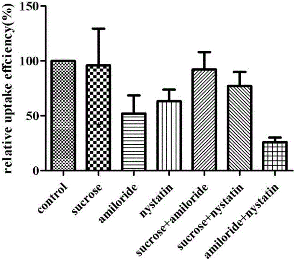 Neutrophile granulocyte drug-loading preparation and applications thereof