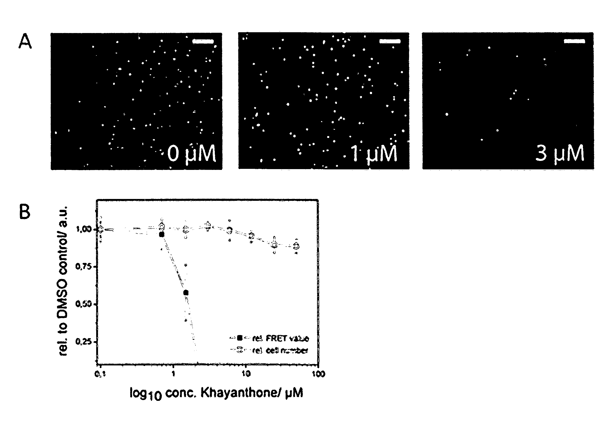 Compounds for the Modulation of Huntingtin Aggregation, Methods and Means for Identifying Such Compounds