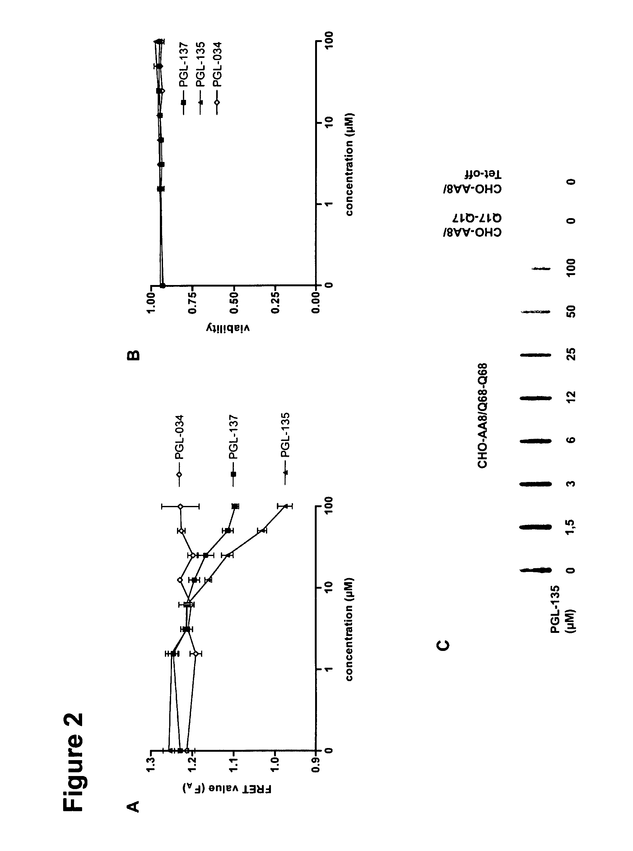 Compounds for the Modulation of Huntingtin Aggregation, Methods and Means for Identifying Such Compounds