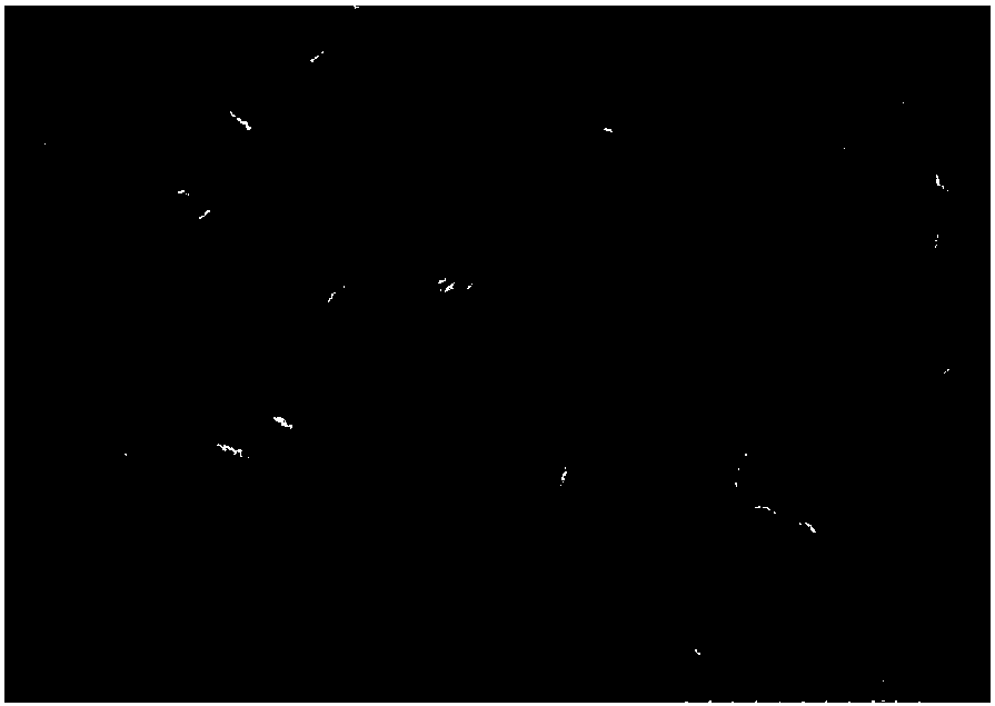 Preparation method of large-grain perovskite thin film