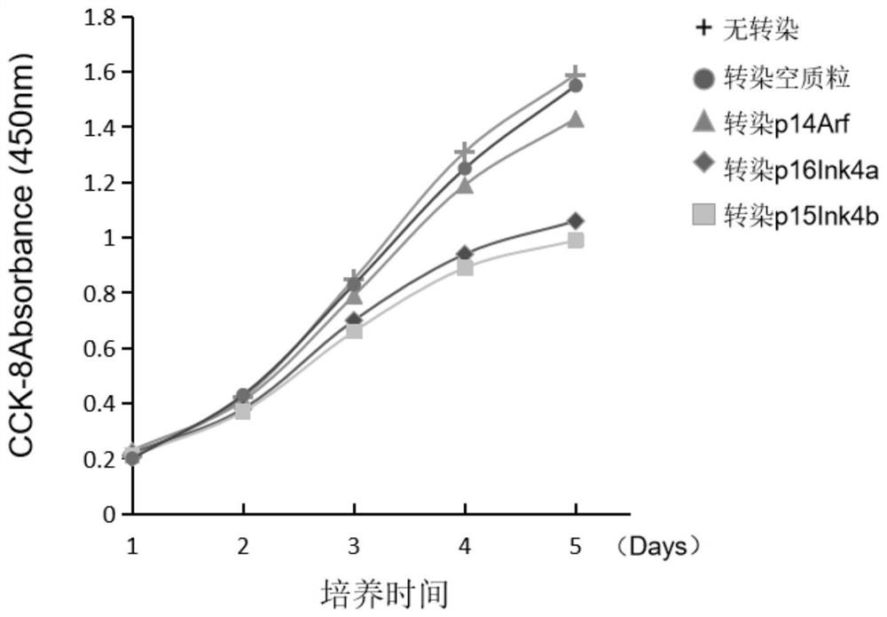 Protein sequence capable of inhibiting malignant tumors and application