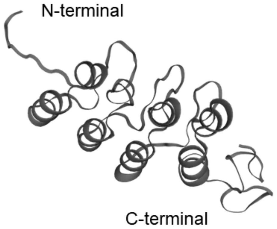 Protein sequence capable of inhibiting malignant tumors and application