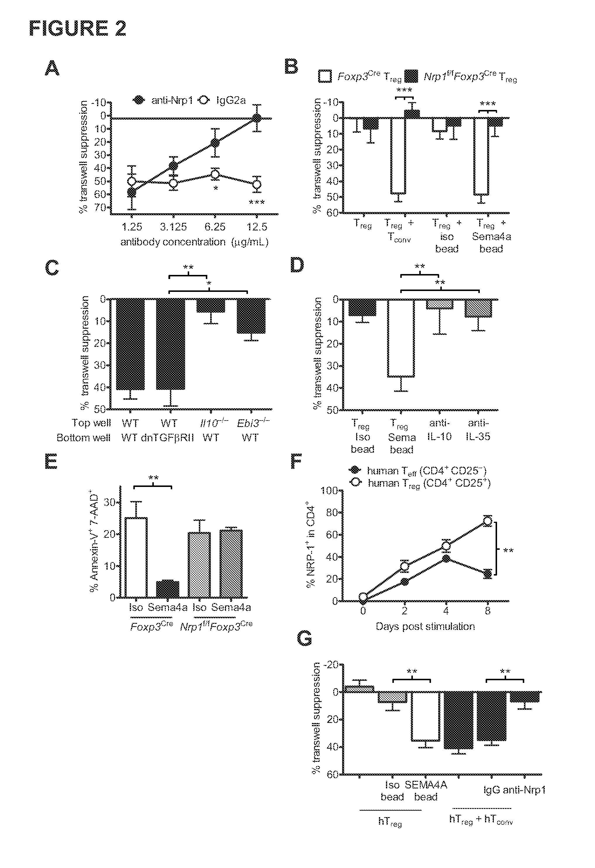 Therapies based on control of regulatory T cell stability and function via a neuropilin-1:semaphorin axis